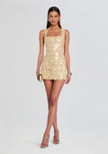 Elainy Sequin Lace Dress