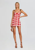 Shantie Mini Dress