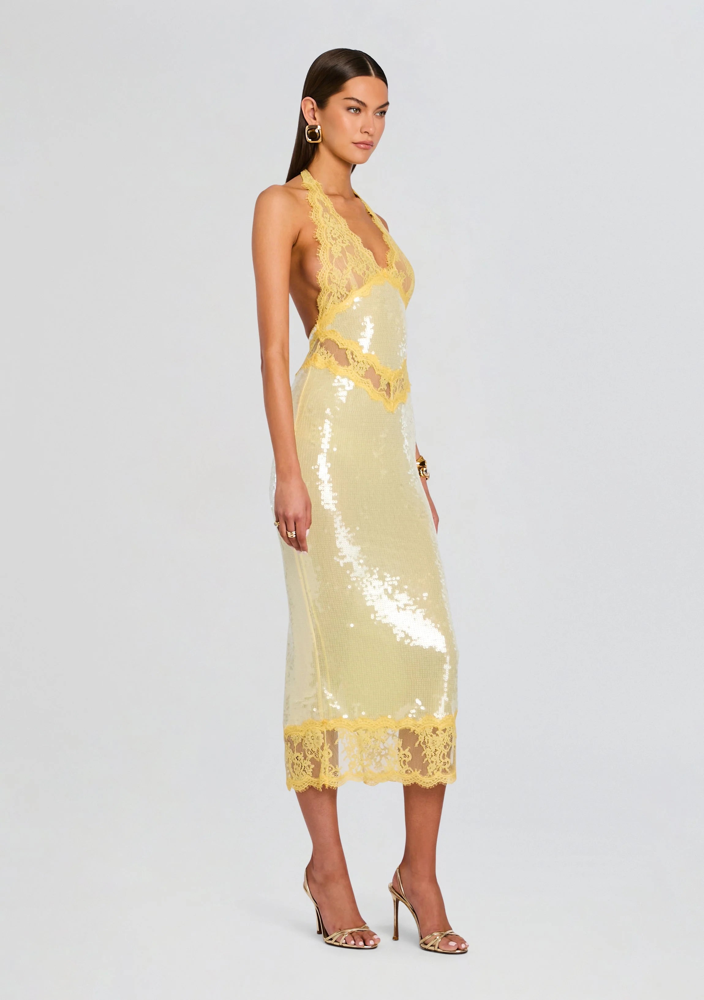Vicky Sequin Lace Dress